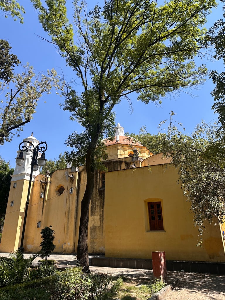 Yellow colonial-style church building with bell tower, large tree, and ornate street lamp under clear blue sky